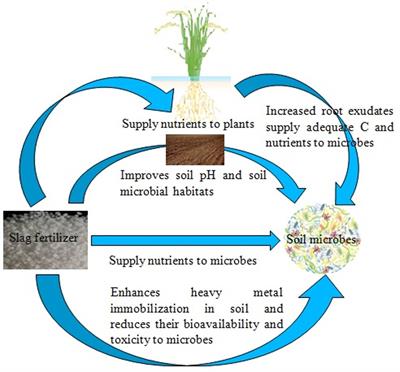 Cropping With Slag to Address Soil, Environment, and Food Security